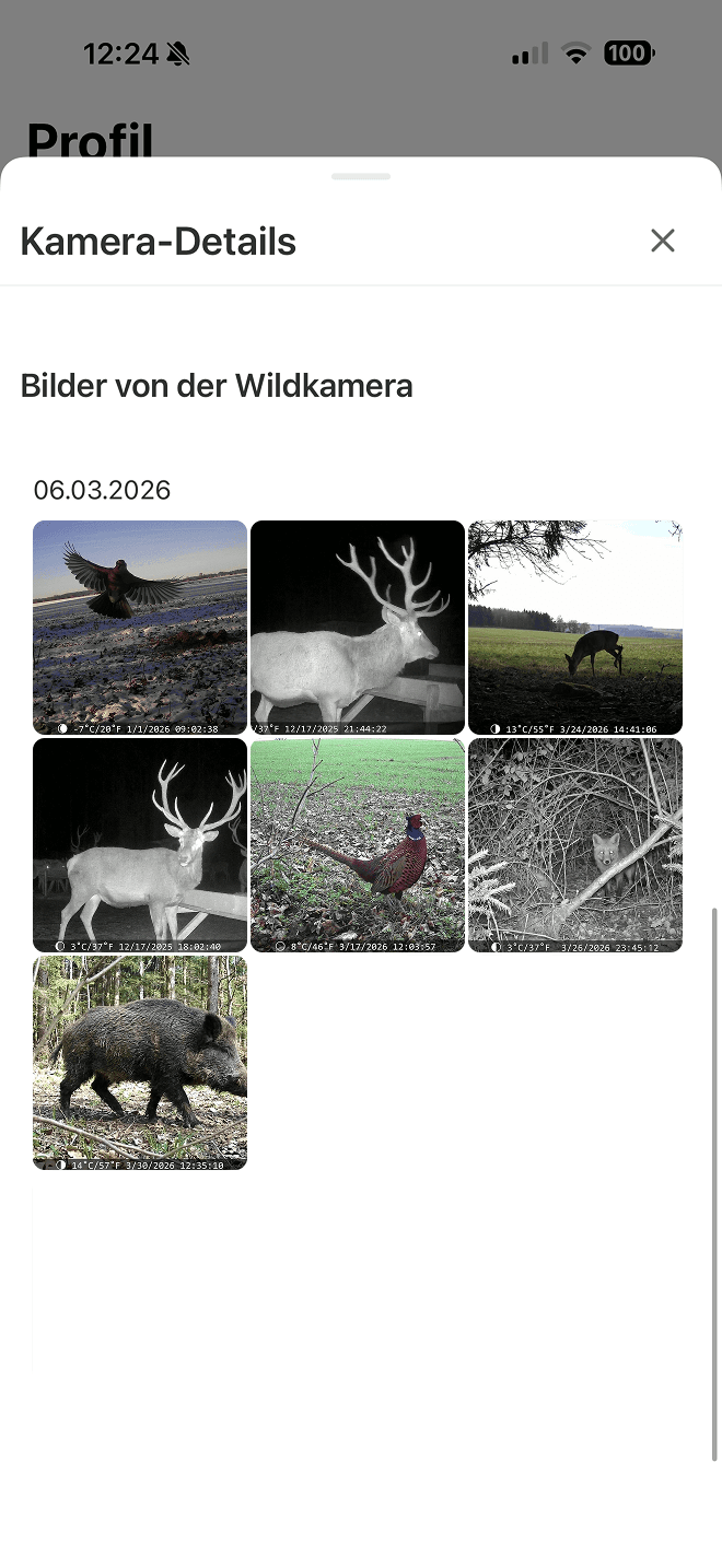 Fotos Ihrer Wildkameras, sofort